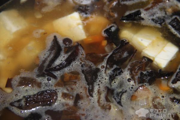 Суп с сушеными белыми грибами и плавленным сыром фото