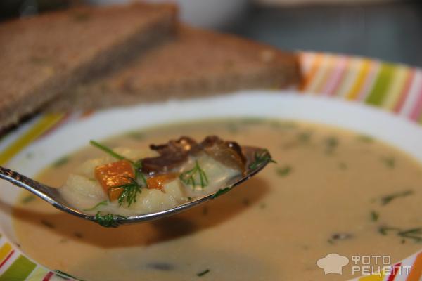 Грибной суп из сушёных грибов в мультиварке - пошаговый фоторецепт