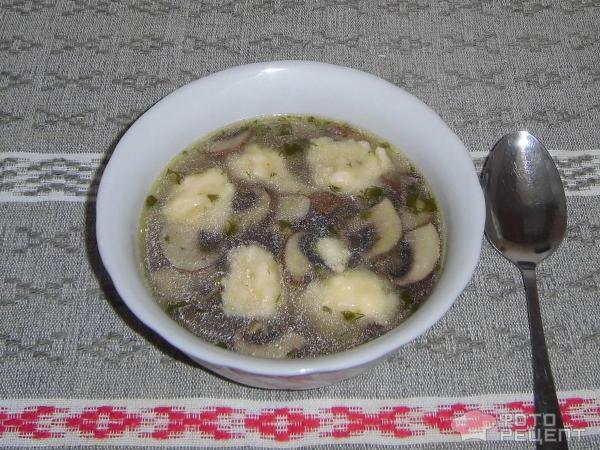 Грибной суп с творожными клецками фото