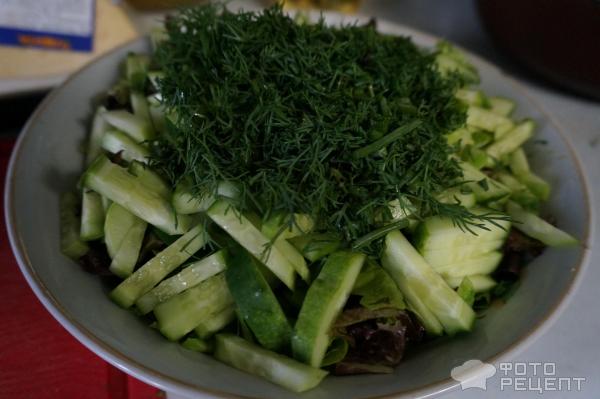 Салат с зеленью и огурцами фото