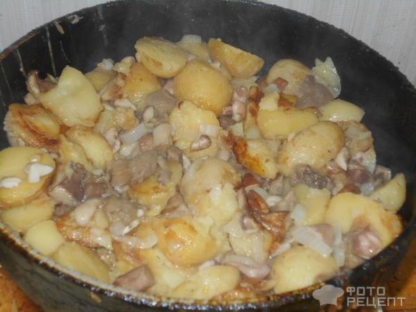 Маслята жареные с картофелем фото
