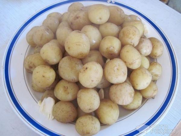 Молодой картофель Орешки фото