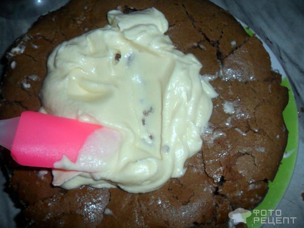 Бисквитный торт с семечками фото