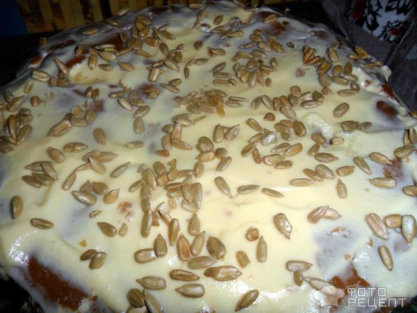 Бисквитный торт с семечками фото