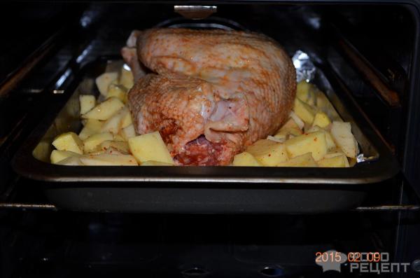 Домашний петух с картофелем в духовке - пошаговый рецепт с фото