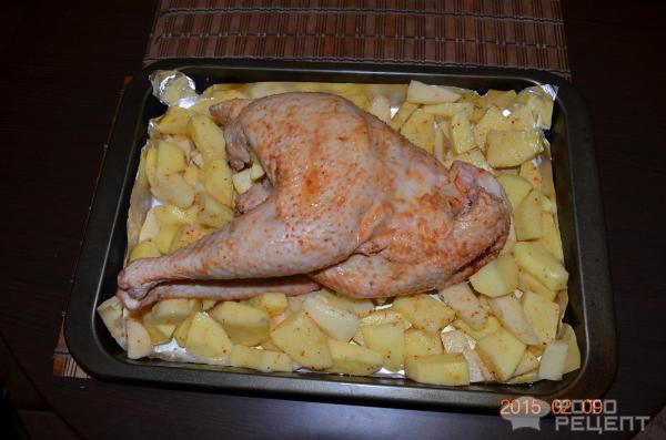 Домашняя курица в рукаве с яблоками - Курица в духовке от ЕДА