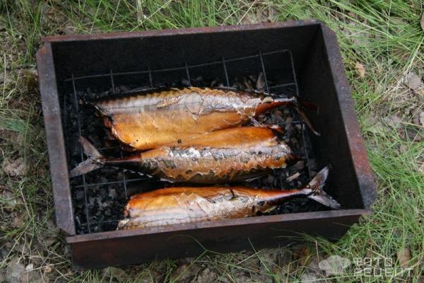 Рецепты рыбы в коптильне | UNIT