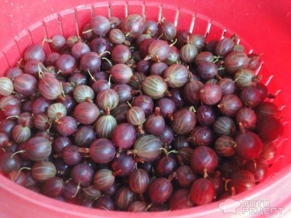компот из крыжовника
