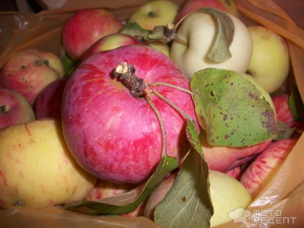 Яблочное варенье фото
