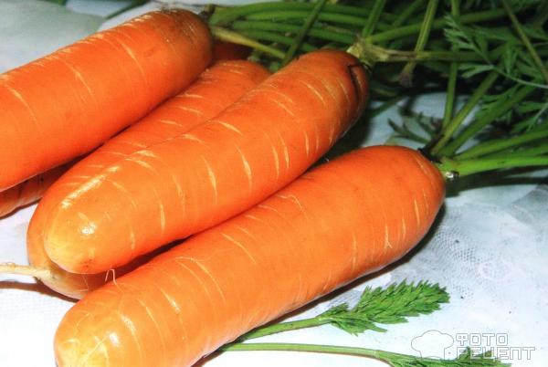 Морковные котлеты фото