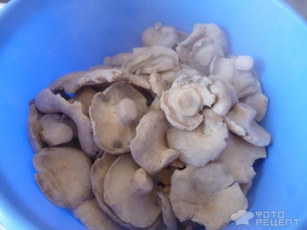 Соленые грибы фото