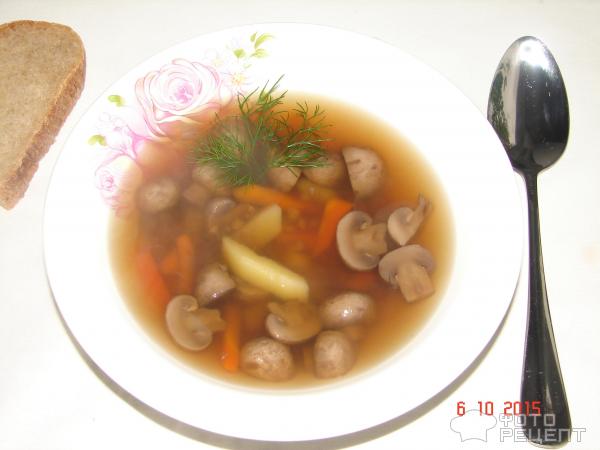 Грибной суп с гречкой фото
