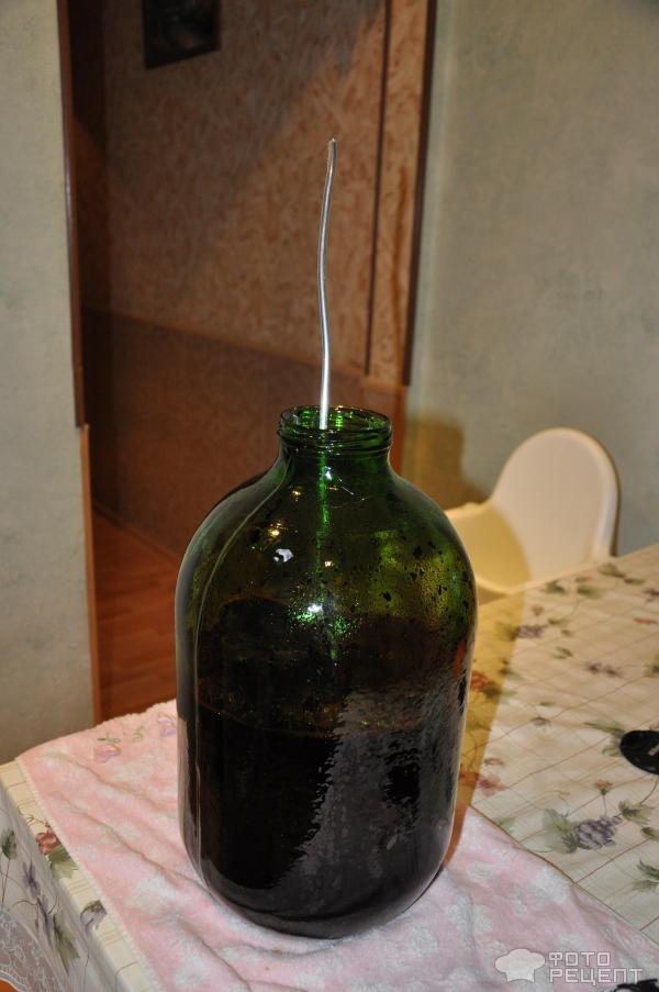 Домашнее вино из черноплодной рябины фото