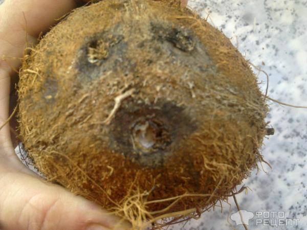 Овсяные колечки с кокосовой стружкой фото