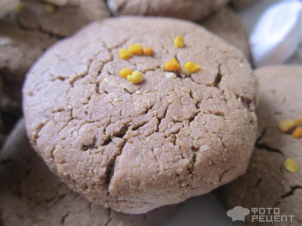 Печенье шоколадное из овсяной муки фото