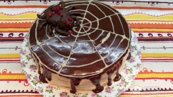 Торт Паутина для паука фото