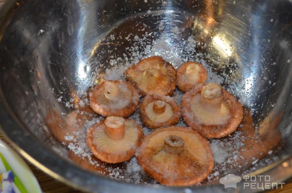 Как солить волнушки 🥝 как засолить грибы в домашних условиях