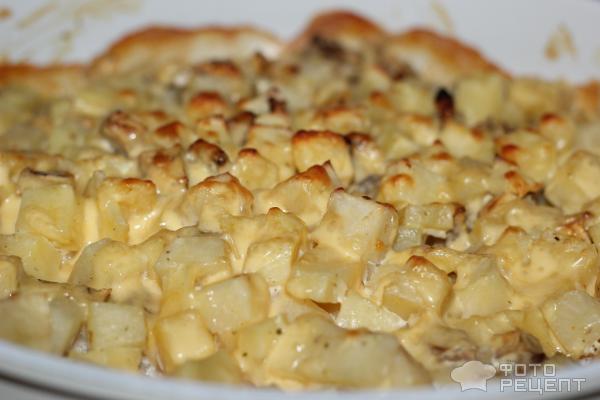 Картофель, запеченный с сыром и сметаной фото
