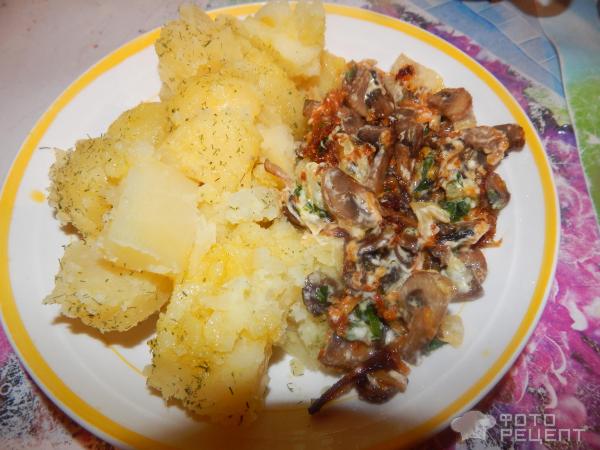Жареная картошка с лисичками и мясом