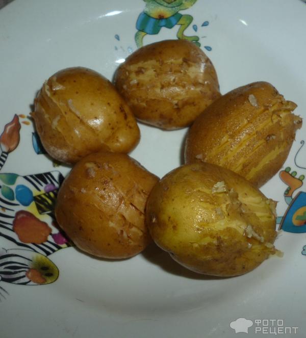 Молодой картофель Орешки фото