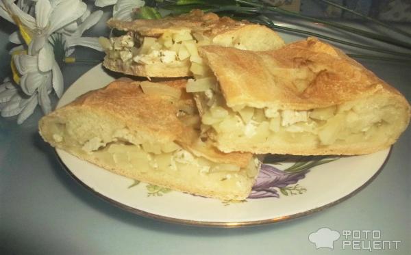 Пирог с курицей и свежим картофелем фото