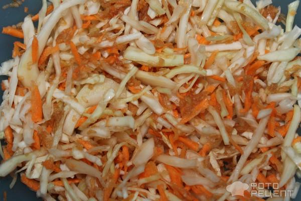 Салат из свежей капусты с овощами фото