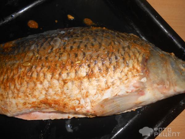 Сазан в духовке с картошкой рецепт 👌 с фото пошаговый | Как готовить рыбу и морепродукты