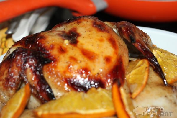 Курица с апельсинами в духовке — рецепт с фото пошагово