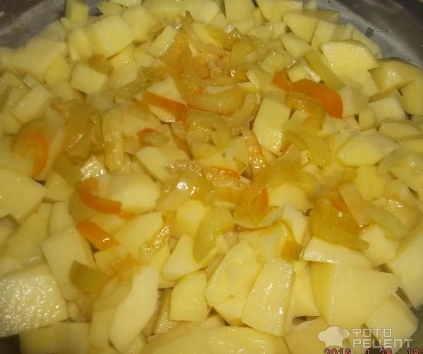 Жаркое с курицей и овощами фото