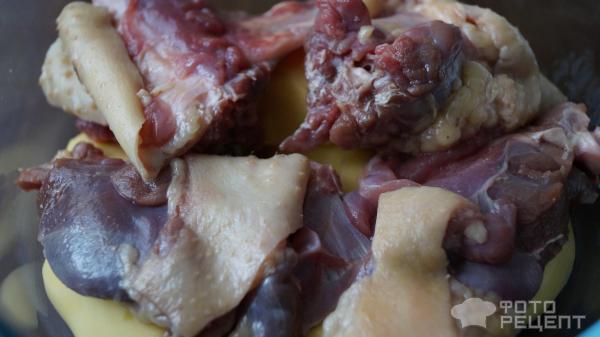 Гусь с картошкой в духовке – простой и вкусный рецепт, как приготовить пошагово