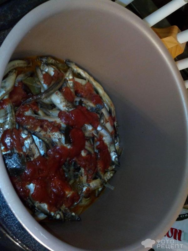 Мойва в томате – кулинарный рецепт