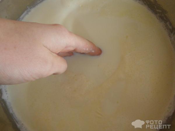 Йогурт из молока на основе закваски Vivo фото