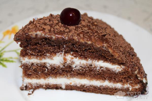 Шоколадный торт с творожной начинкой