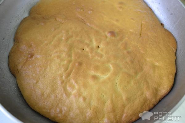 Торт медовый с двумя видами крема фото