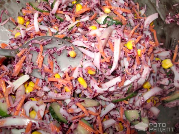 Салат из краснокочанной капусты с кальмарами фото