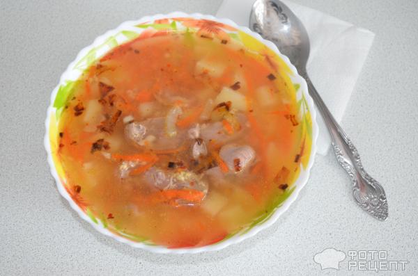 Суп с куриными желудочками рецепт с фото, как приготовить на hb-crm.ru