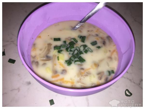 Суп со свежими шампиноьонами и плавленным сыром фото