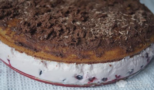 Торт бисквитный с творожным суфле фото
