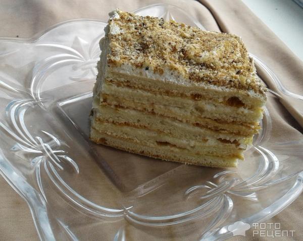 Торт медовый с заварным кремом фото