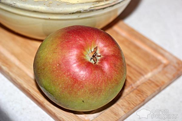 Яблочная шарлотка Нежность фото