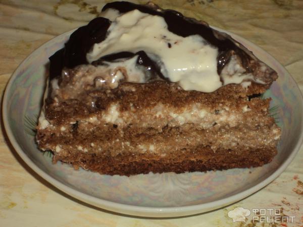Торт Медовый бисквит фото