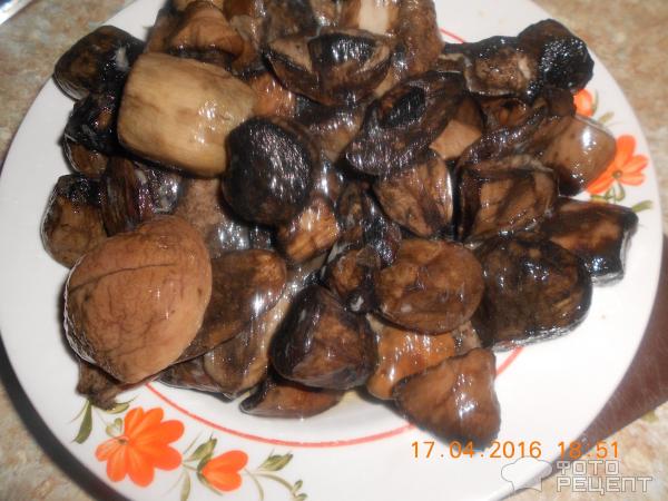 Жаркое с грибами фото