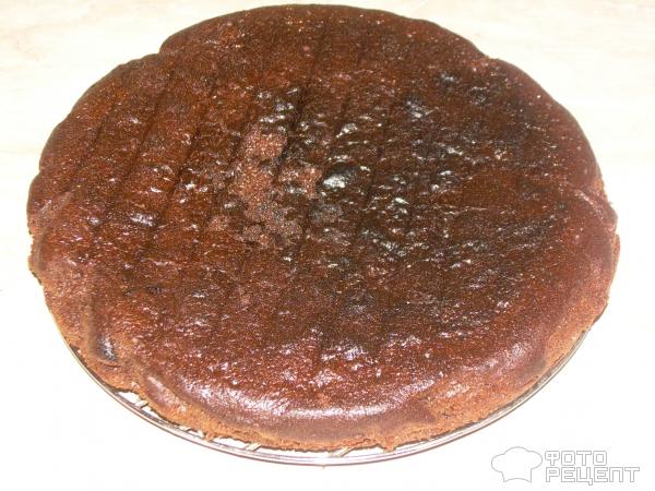 Торт Шоколадно-творожный с абрикосом фото