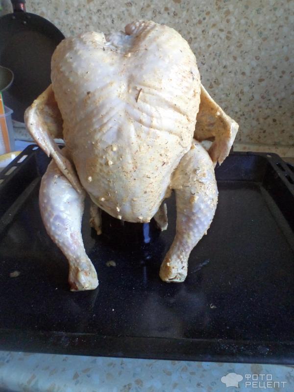 Курица в курица на бутылке в духовке рецепт с фото