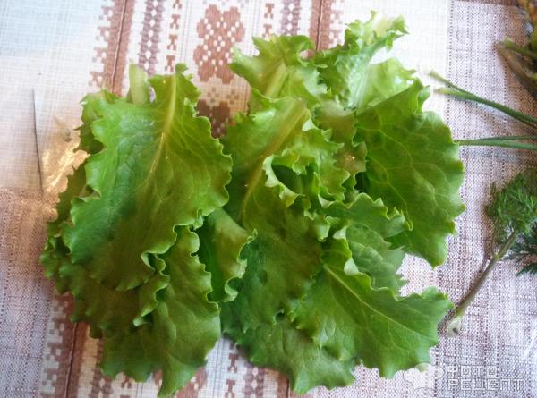 Салат с редиской фото