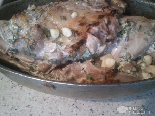 Кролик, тушеный в сметане – 8 рецептов приготовления с пошаговыми фото