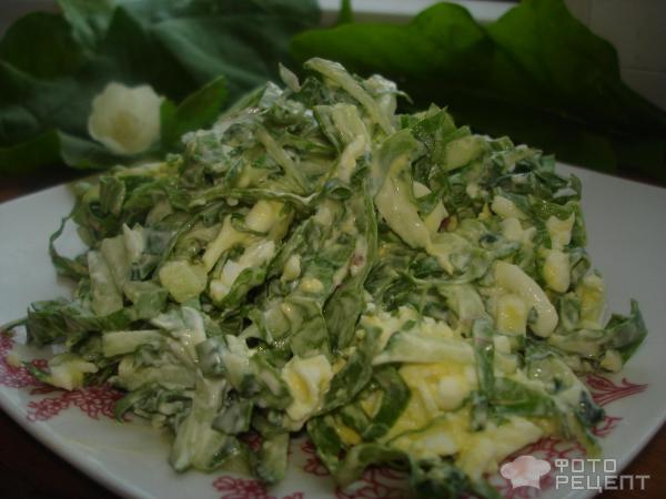 салат со шпинатом рецепты