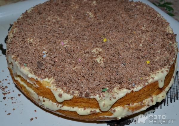 Торт бисквитный с шоколадом фото