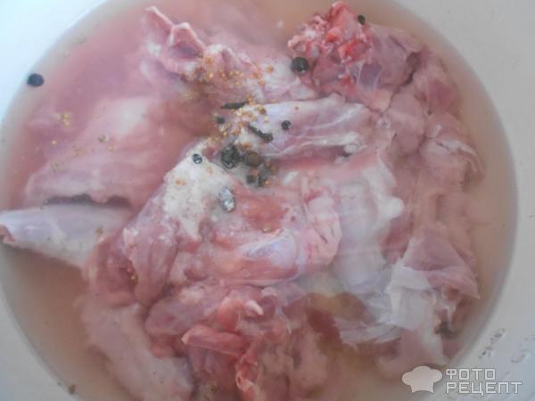 Мясо кролика тушенное с овощами фото