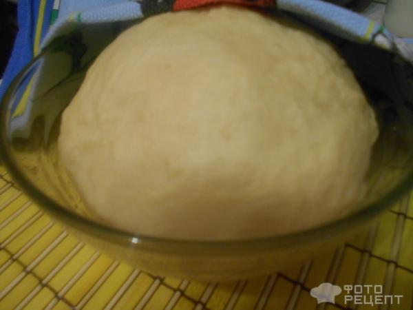 Дрожжевое тесто для выпечки в духовке фото